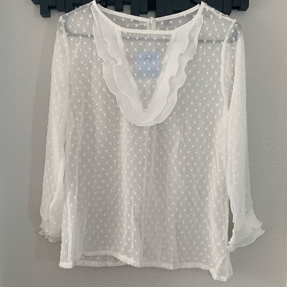 Beautiful Sheer Blouse - Picture 2 of 7
